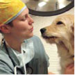 Tufts University Cummings School of Veterinary Medicine research gift self-mailer